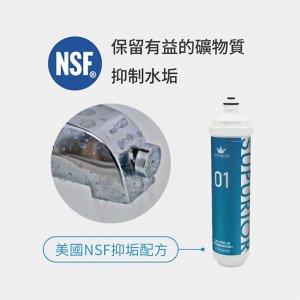 【濾心】SUPURIOR速沛優 奈米抗菌除鉛抑垢濾心 / SR-PRO-01 3