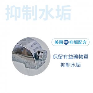 【濾心】SUPURIOR速沛優 奈米抗菌除鉛抑垢濾心 / SR-RV-01 4